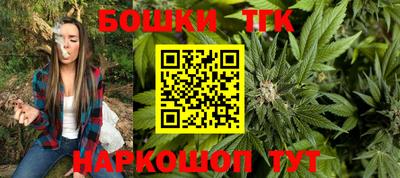гашик Кингисепп
