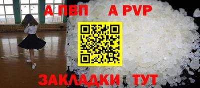 гашик Кингисепп