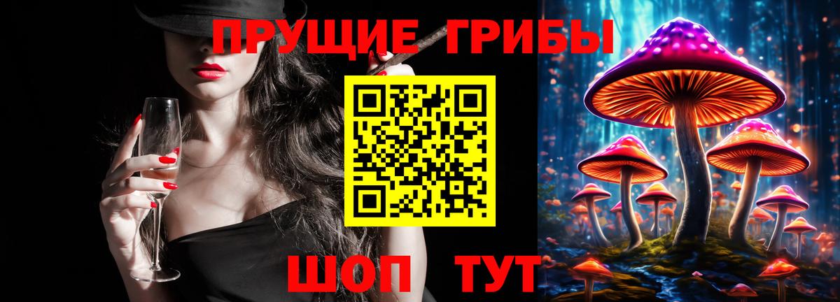 Галлюциногенные грибы Cubensis Куйбышев