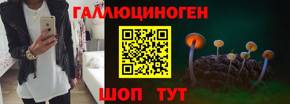 Галлюциногенные грибы Cubensis  Псилоцибиновые грибы Psilocybine cubensis  Вход с VPN  Куйбышев 